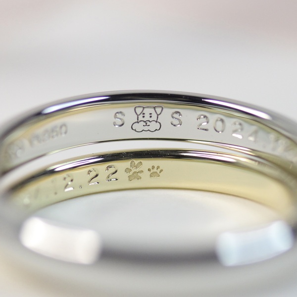 Thumb e1e200ea 50e1 495e a9fa cf57566c150f