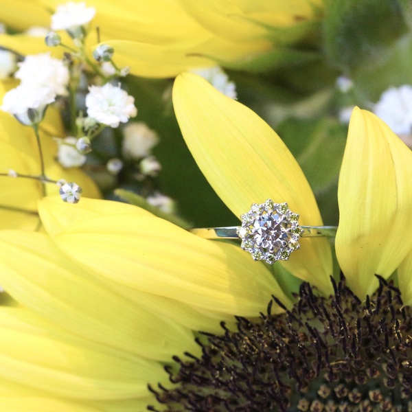 Thumb c43089c2 6e32 4558 b979 0205aa0666e5